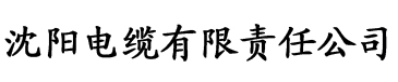 苏清歌星空传媒电缆厂logo